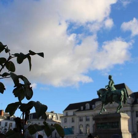 Le Scandinave, Proche Bord De Loire Orléans Exterior foto